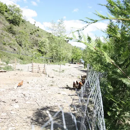 Lugina E Shengjergjit ,bujtinat