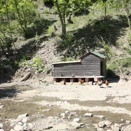 Lugina E Shengjergjit ,bujtinat Orman Evi *