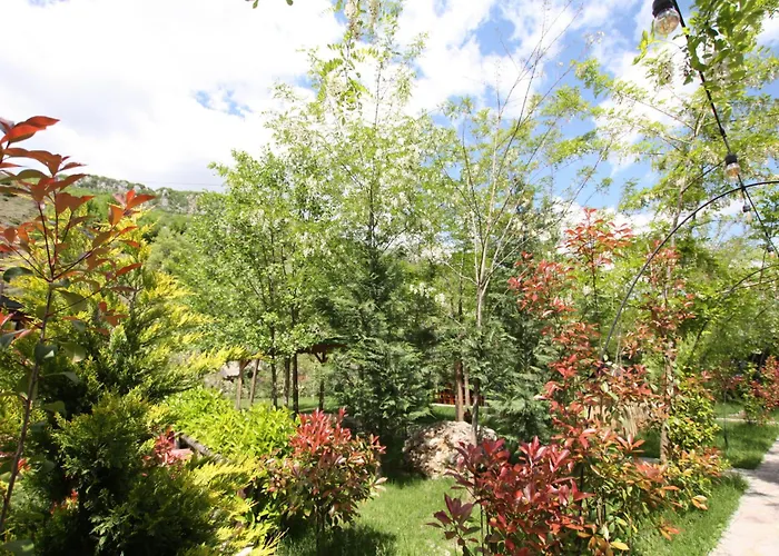 山林小屋 Lugina E Shengjergjit ,bujtinat